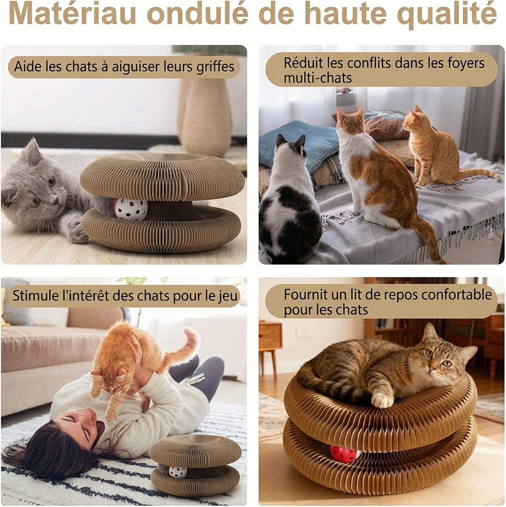 KittyWave™